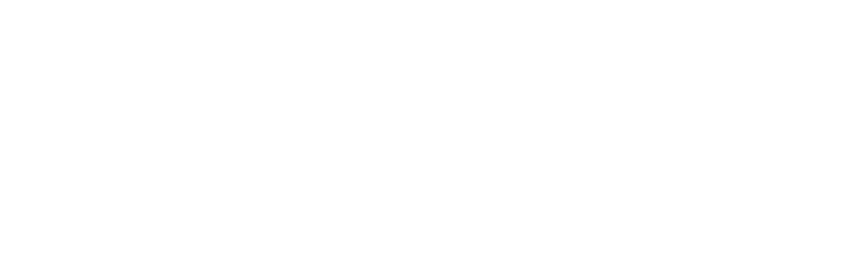 Bluelight | Umbraco Gold Partner WO